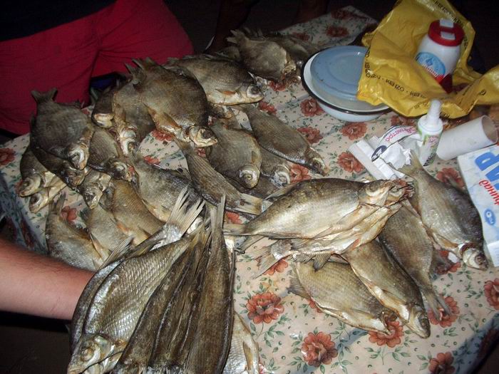 Ахтуба август 2005г