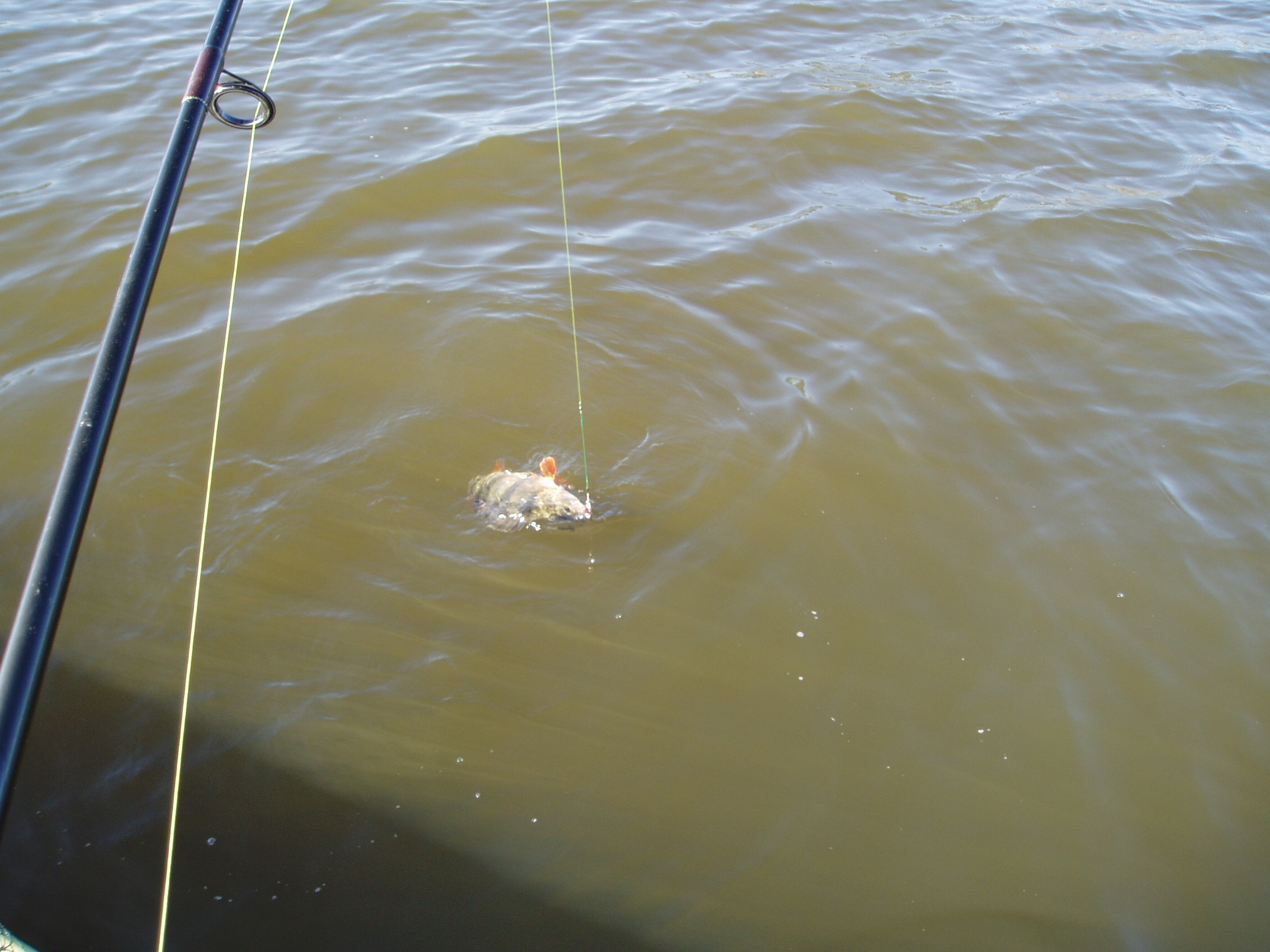 Еще половил малость.