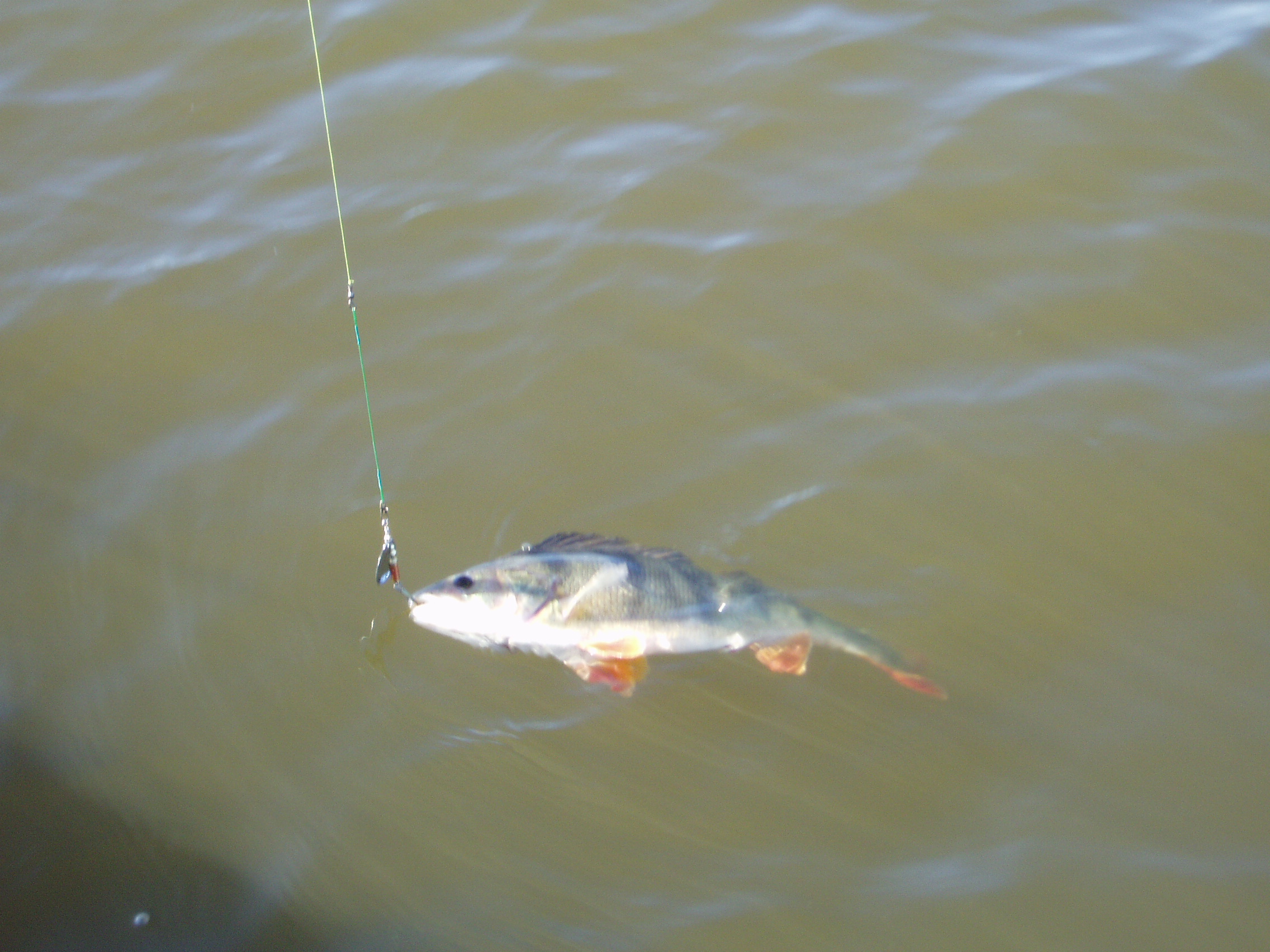 Еще половил малость.
