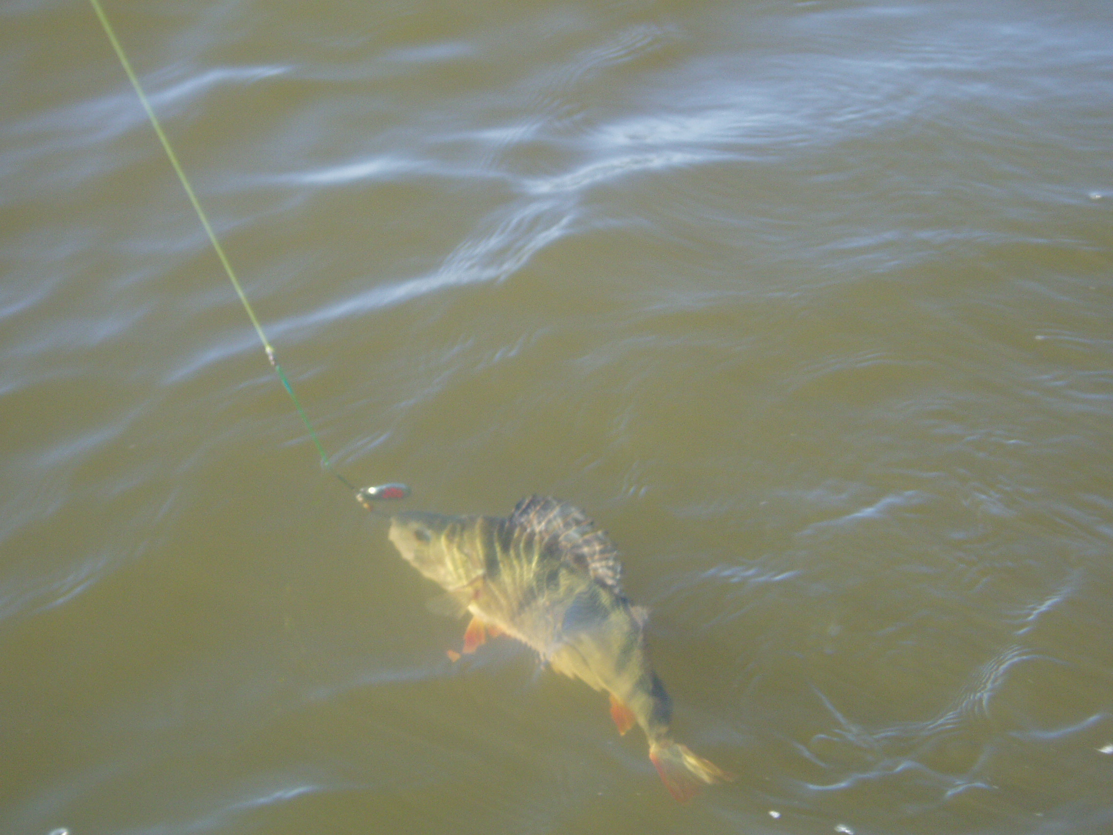Еще половил малость.