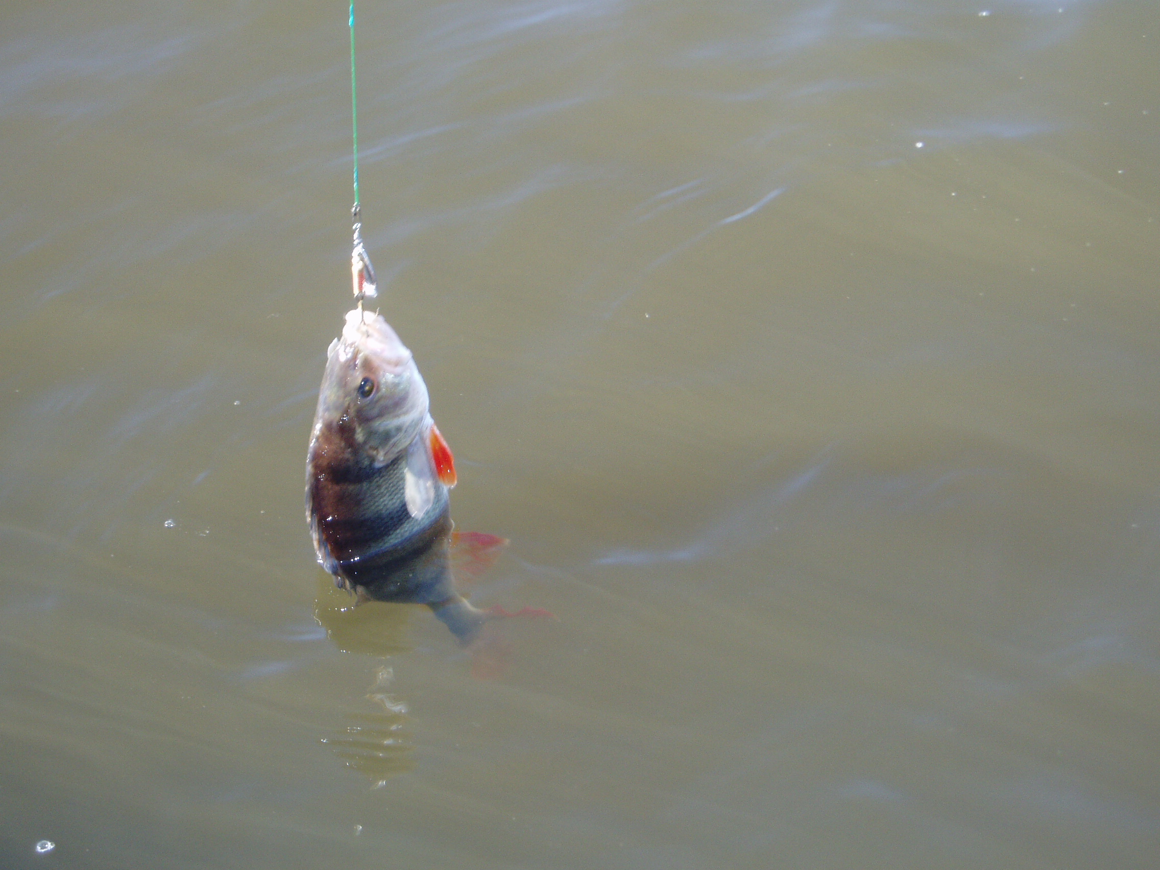 Еще половил малость.