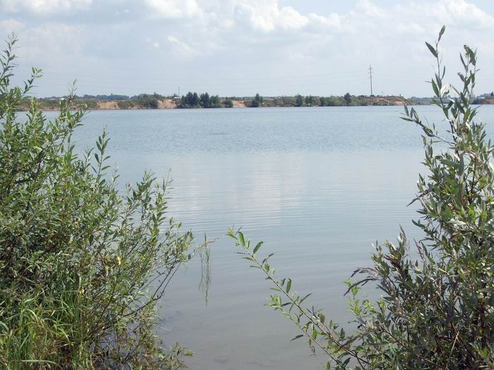 г.Старая Купавна, Кудиново, лето 2005г