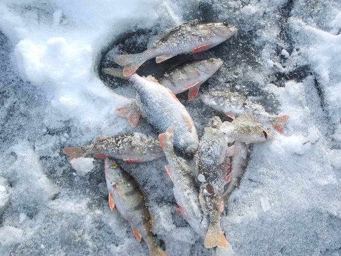 г.Старая Купавна, Песчаный карьер, зима 2006г