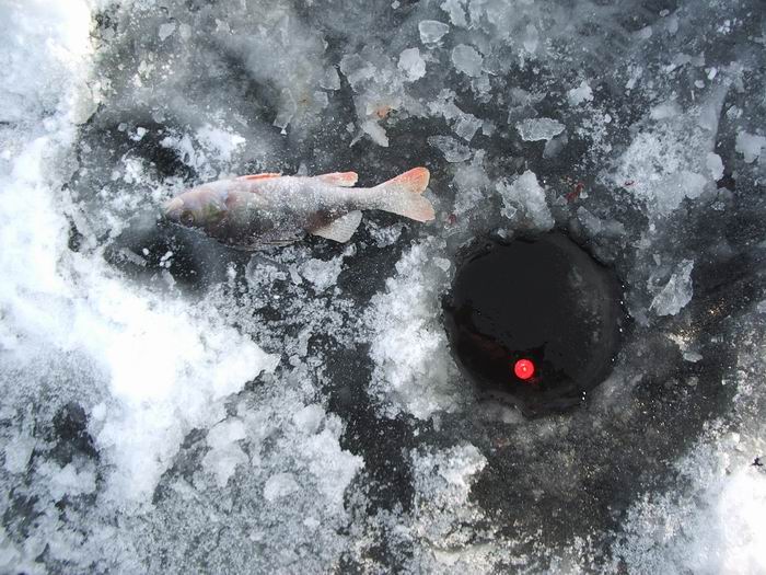 г.Старая Купавна, Песчаный карьер, зима 2006г