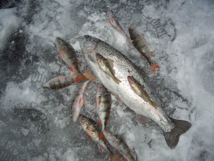 г.Старая Купавна, Песчаный карьер, зима 2006г