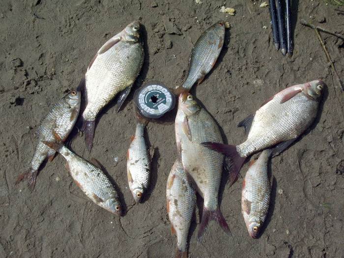 Купавна,Песчаный карьер,2007г