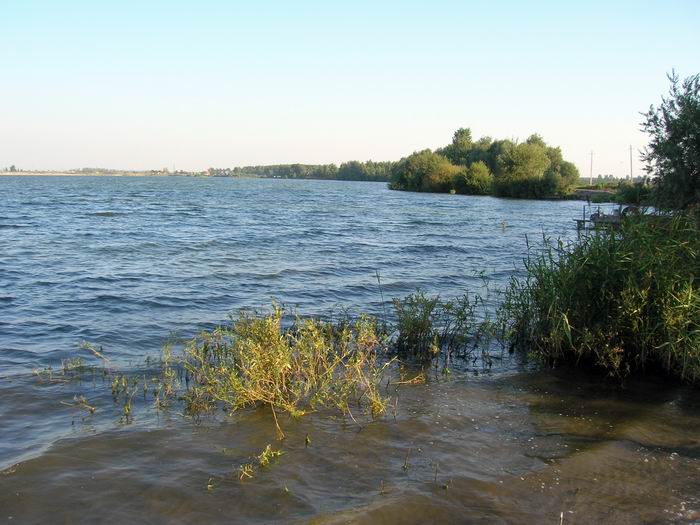 Купавна,Песчаный карьер,2007г