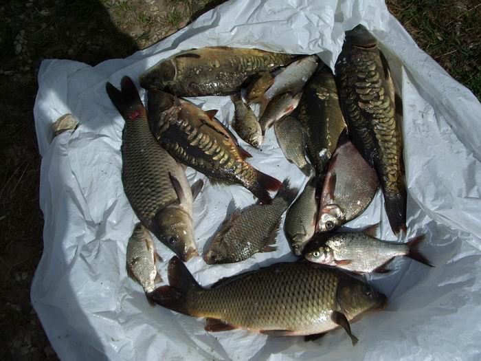 Купавна,Песчаный карьер,2007г