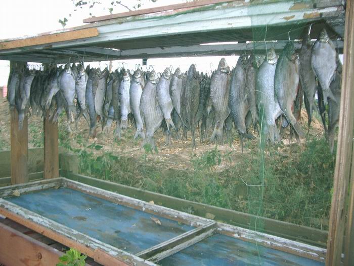 На базе ПЩВ 2006г