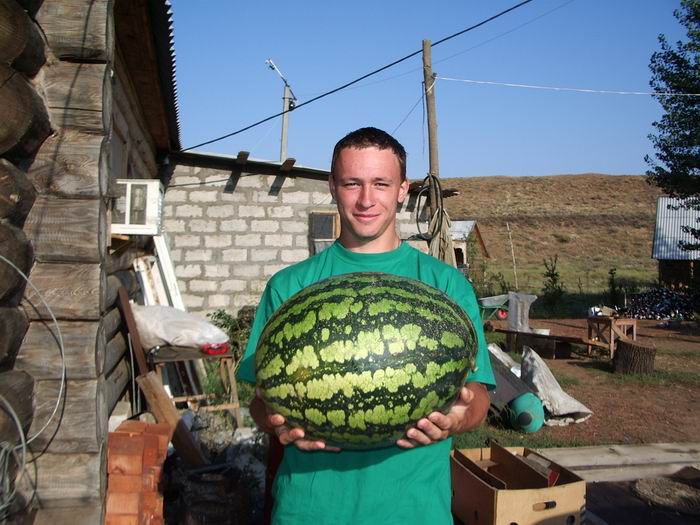 На базе ПЩВ