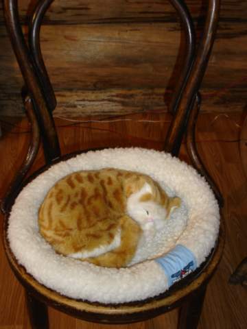 На Соловках