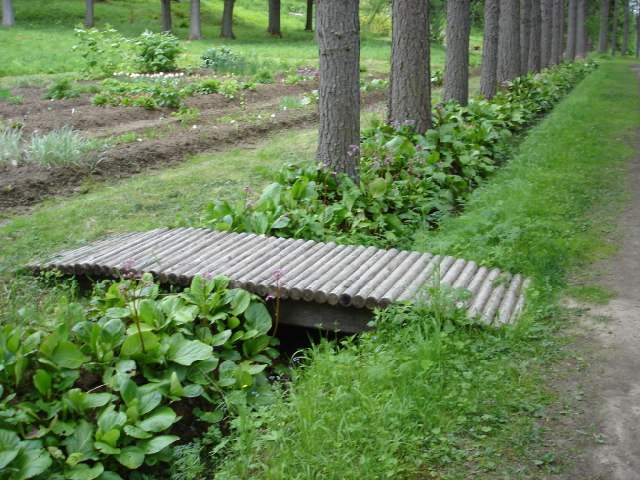 На Соловках