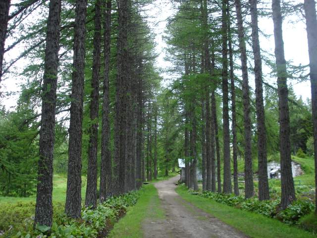 На Соловках