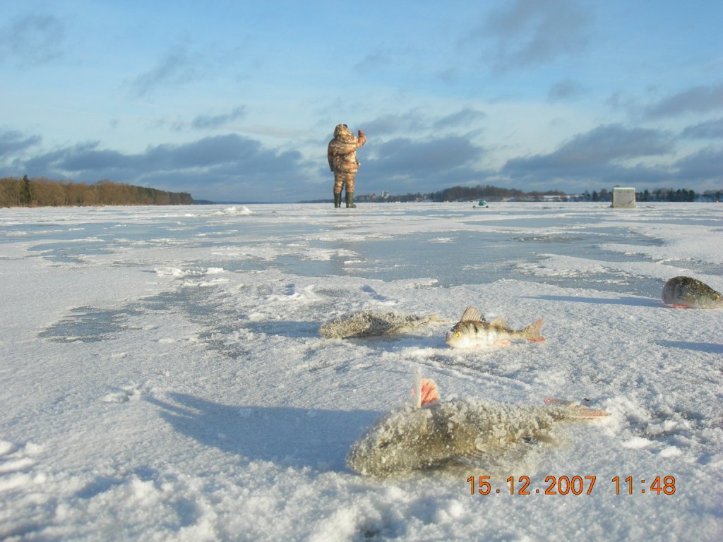 На водоеме зимой