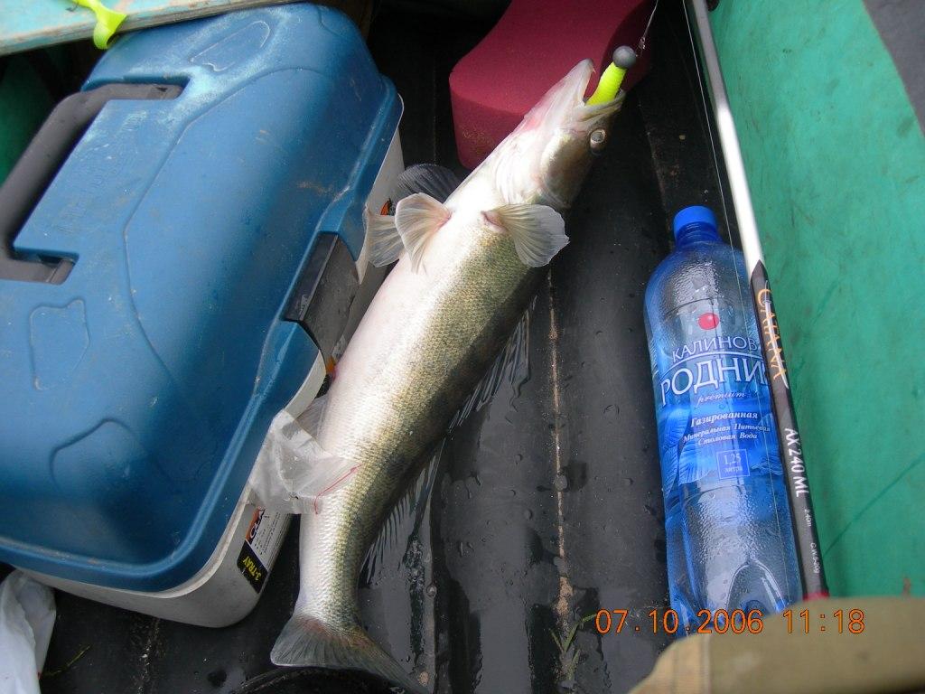 Осенний судачек