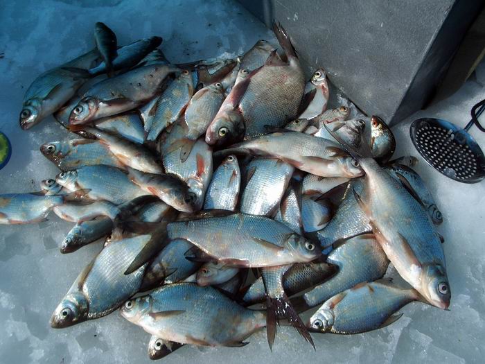 р.Гжать март 2006г