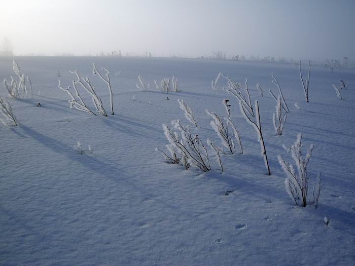 р.Гжать март 2006г