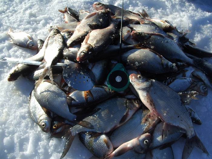 р.Гжать март 2006г