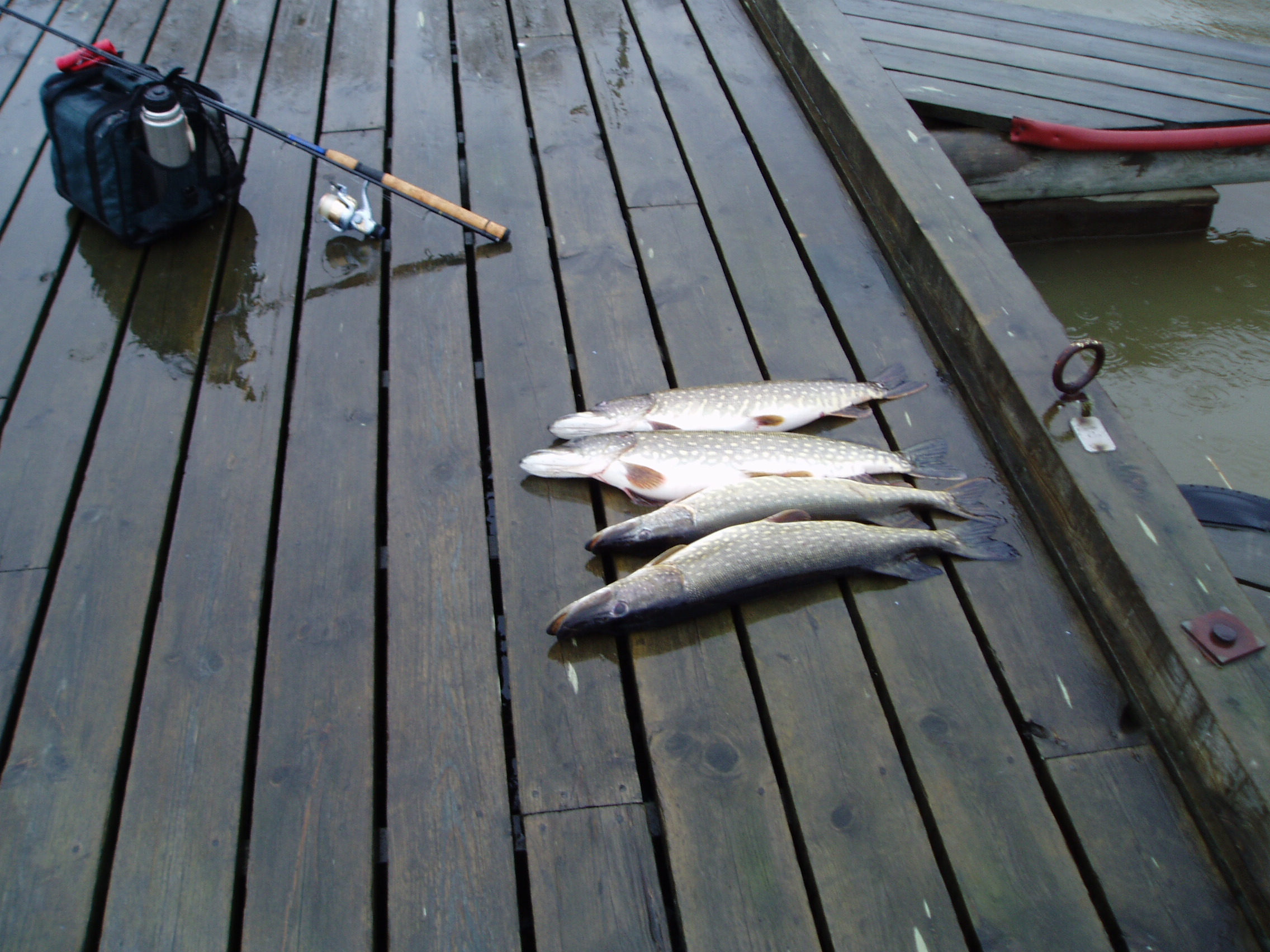 Удачный улов.