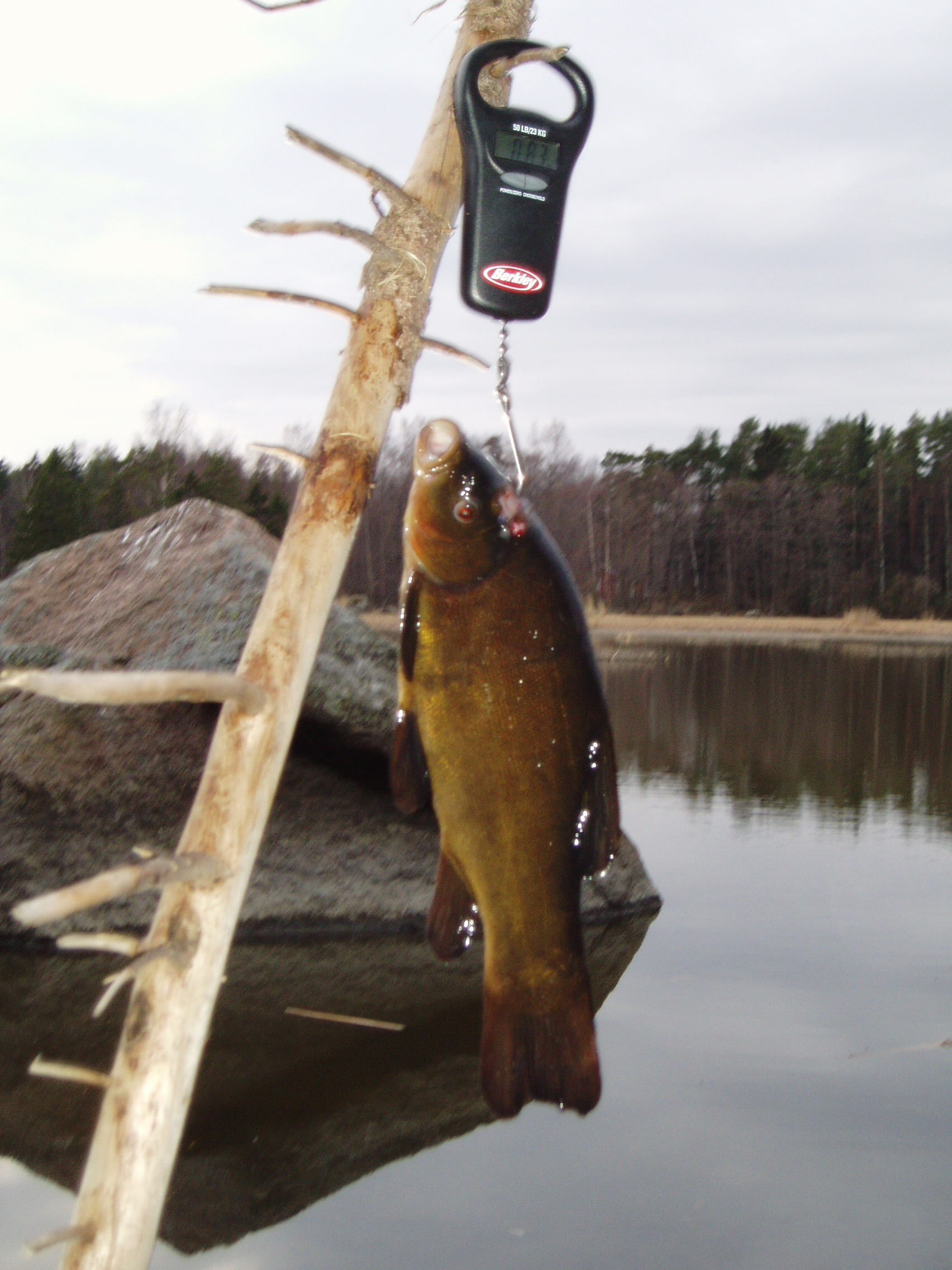 Удачный улов.