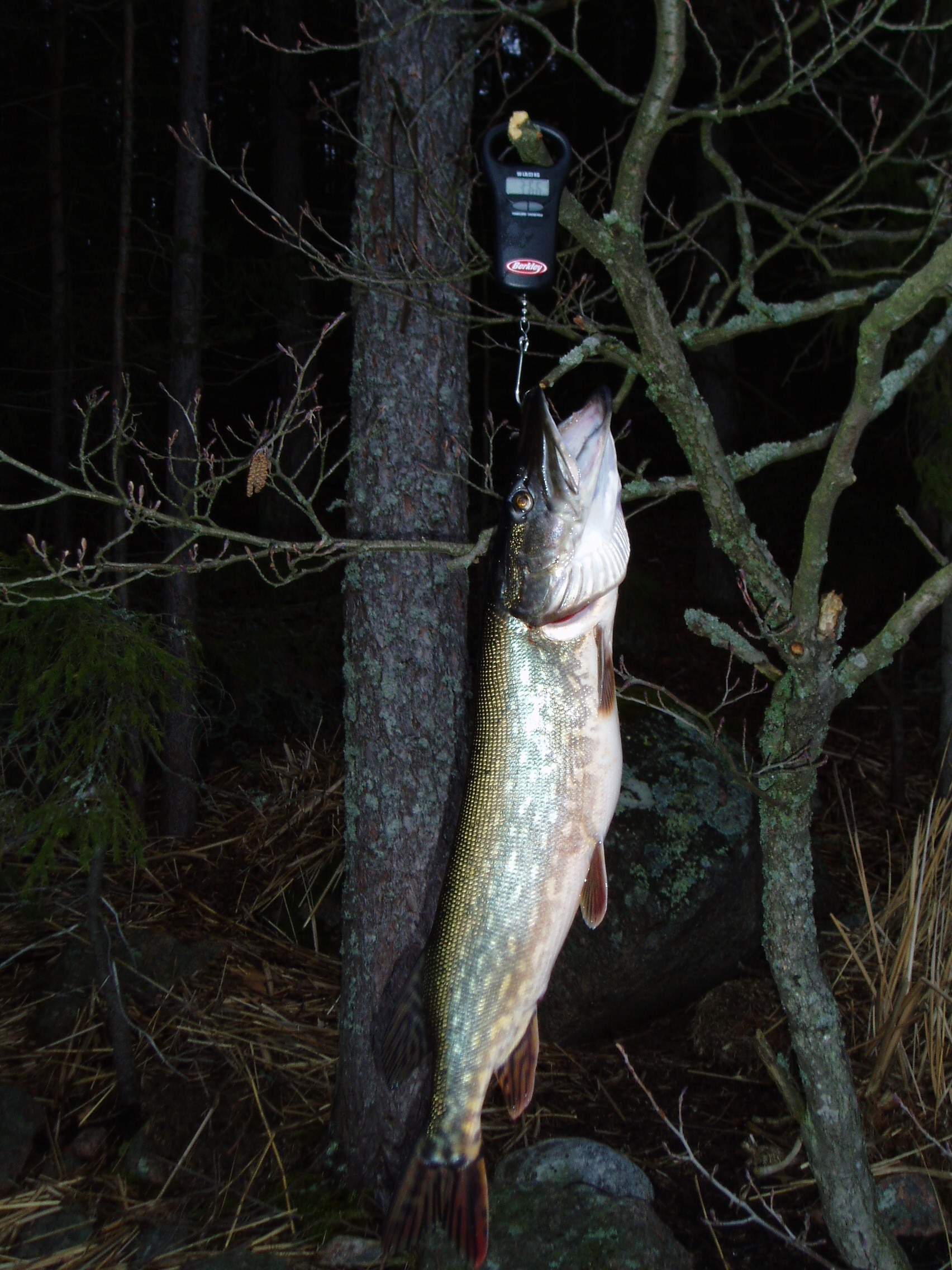 Удачный улов.