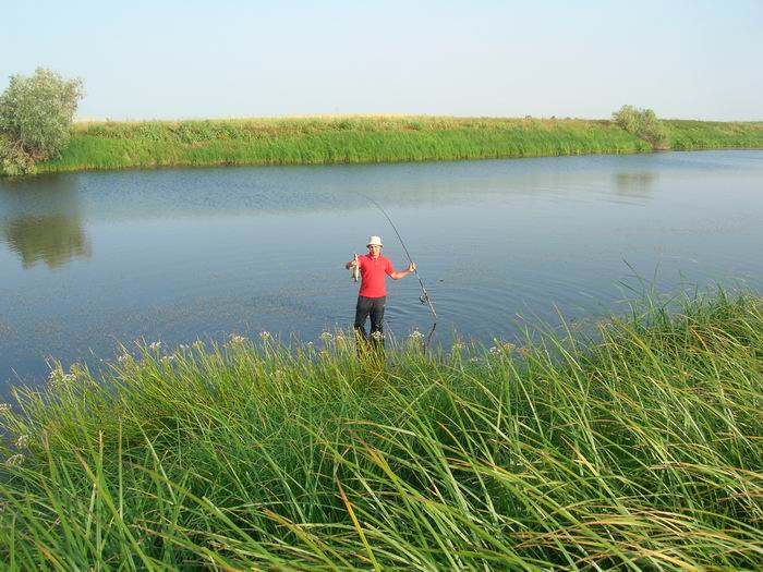 В пойме 2006г