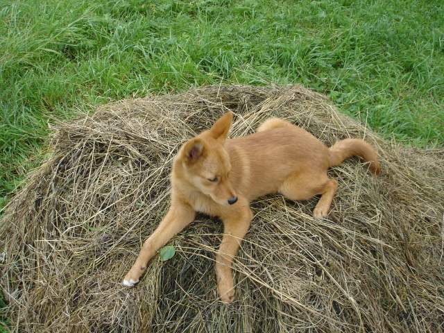 Водлозёрский национальный парк