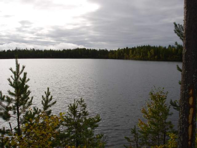 Водлозёрский национальный парк