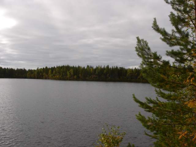 Водлозёрский национальный парк