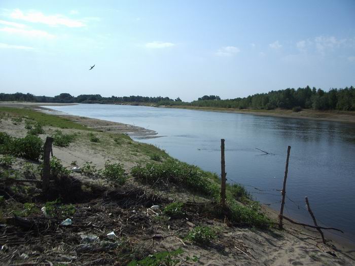 Возле базы ПЩВ 2006г