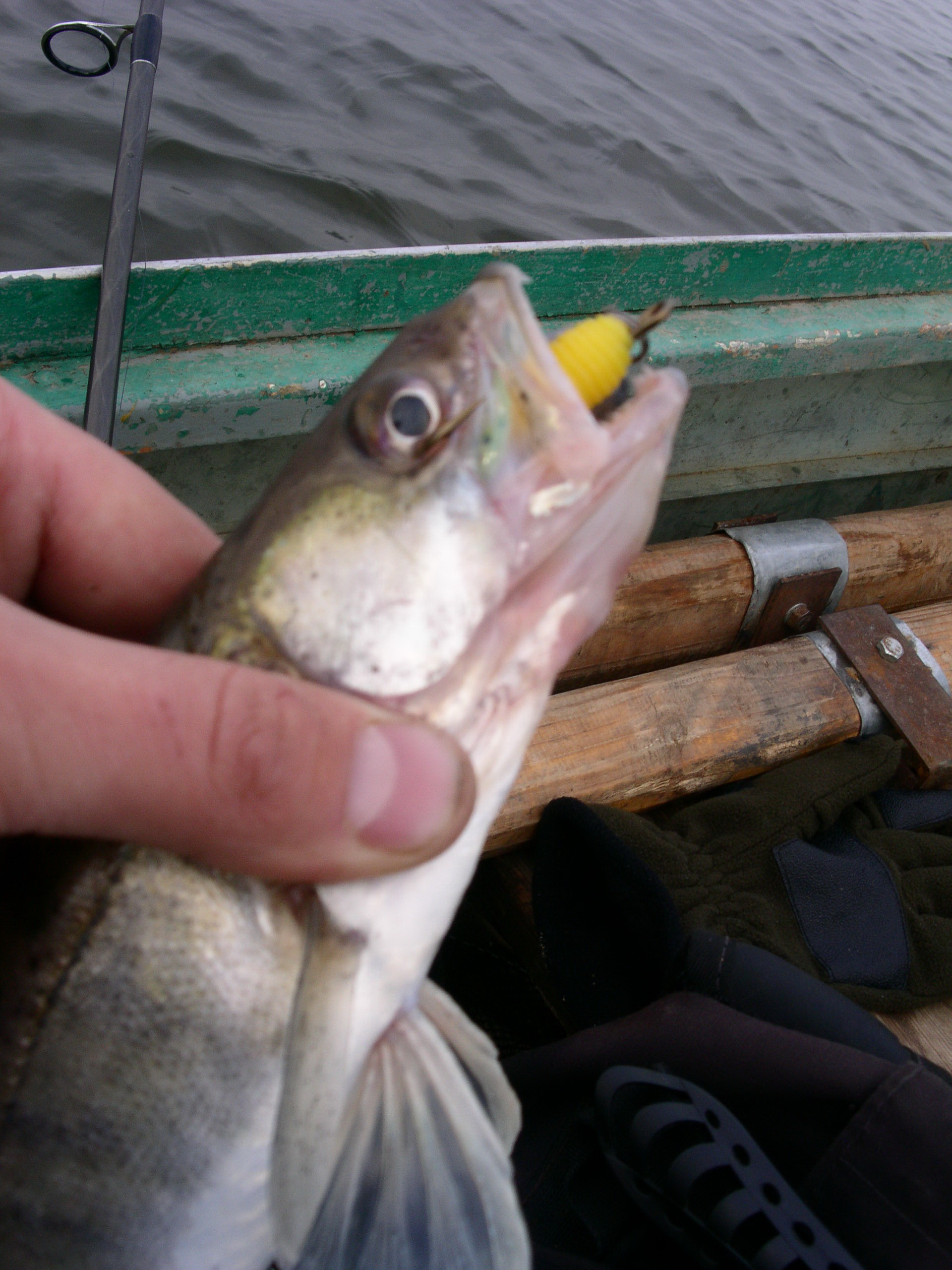 Заезд с 6 по 13 октября