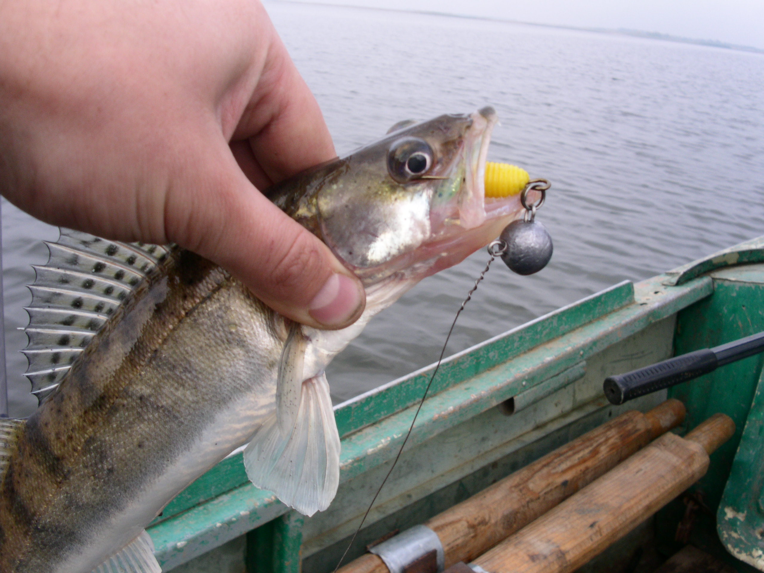 Заезд с 6 по 13 октября