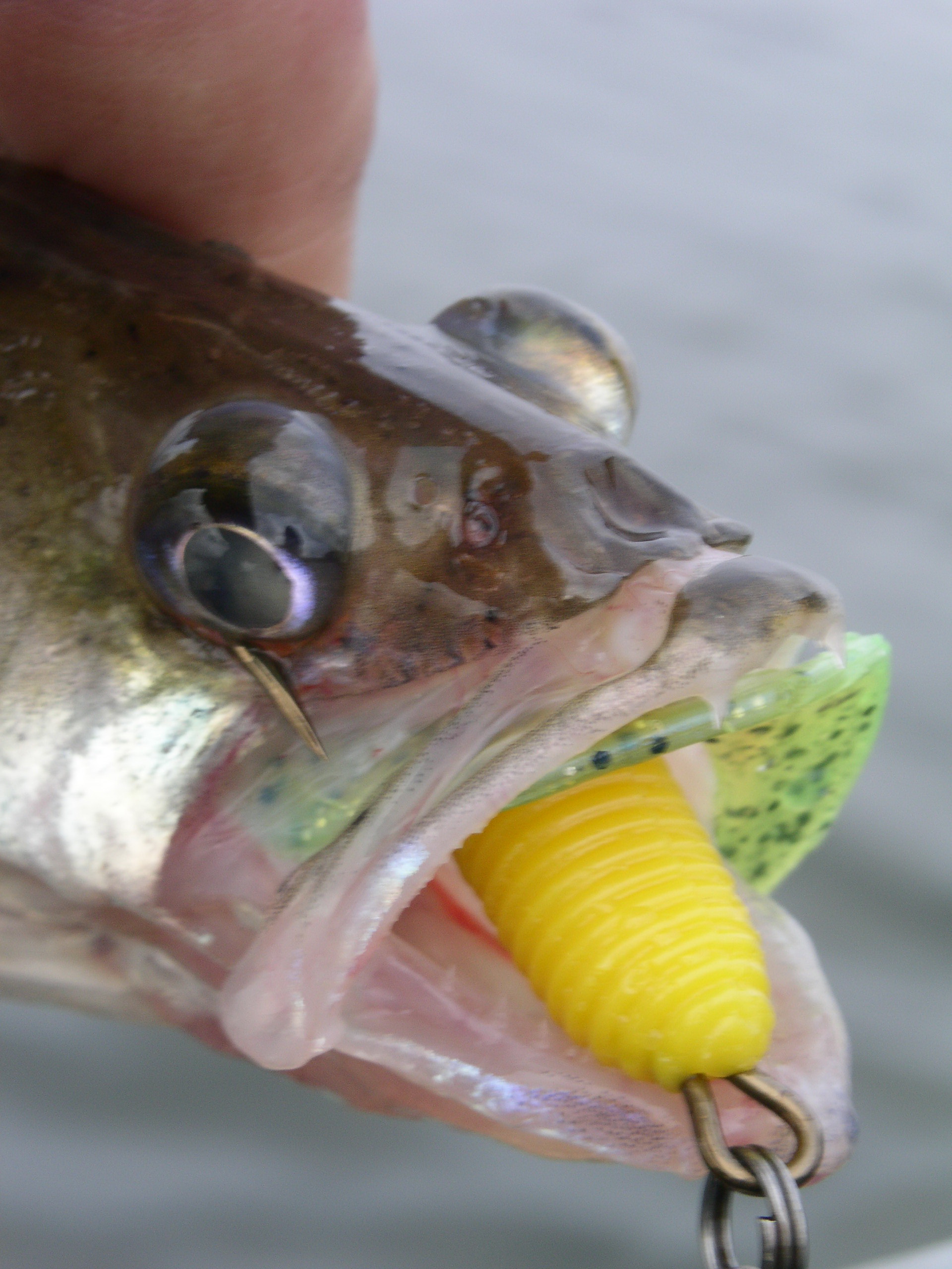 Заезд с 6 по 13 октября