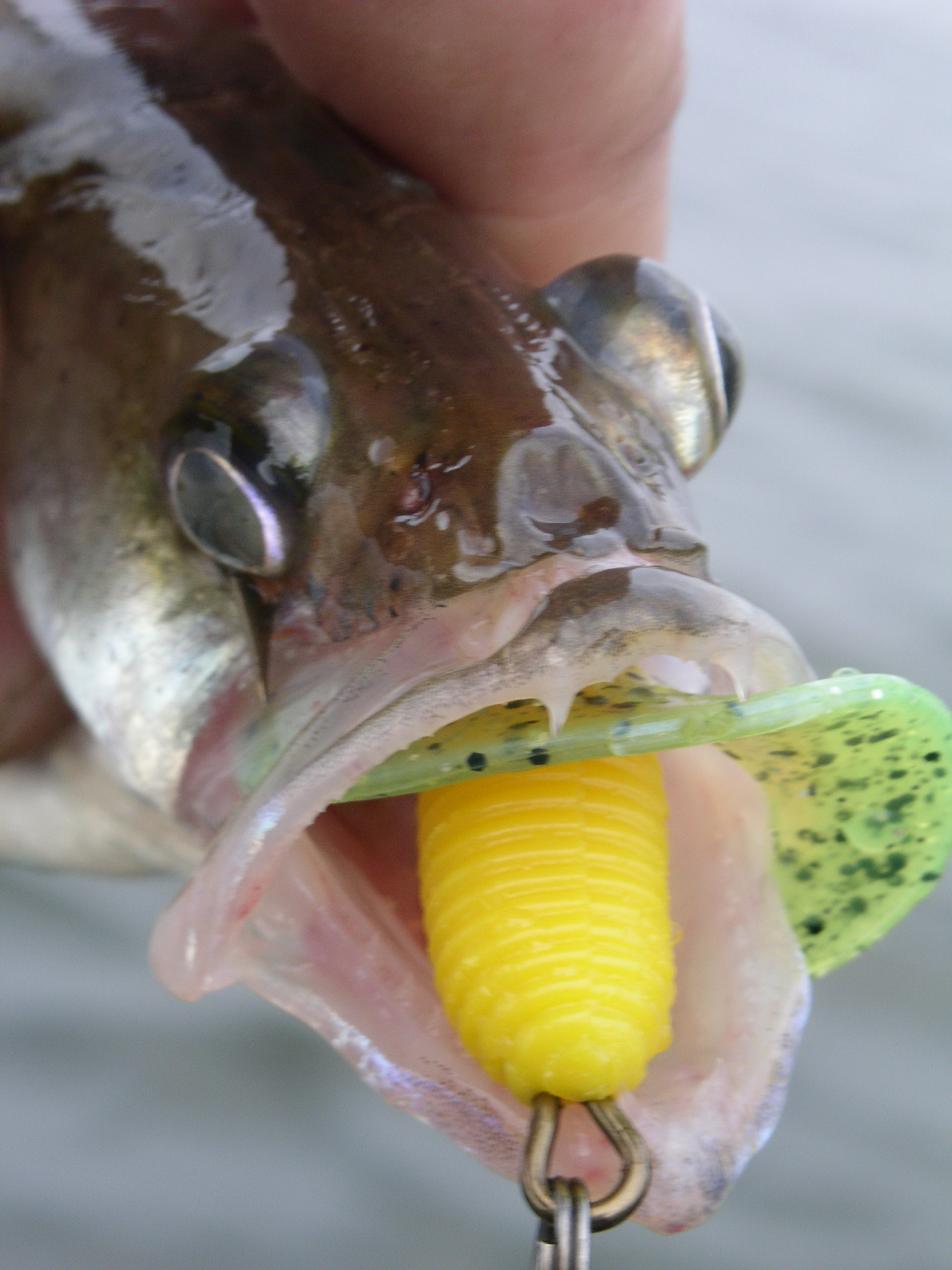 Заезд с 6 по 13 октября