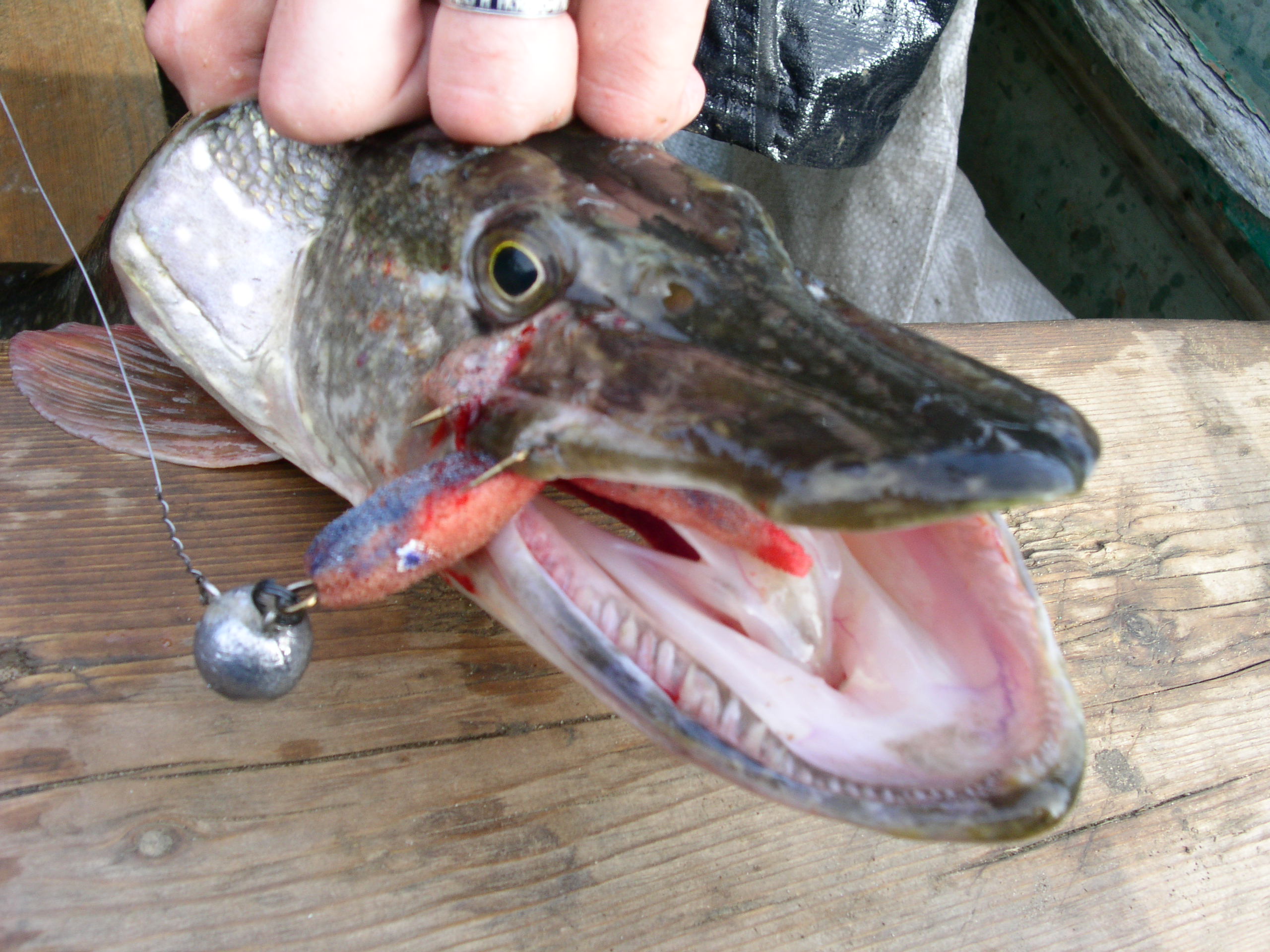 Заезд с 6 по 13 октября