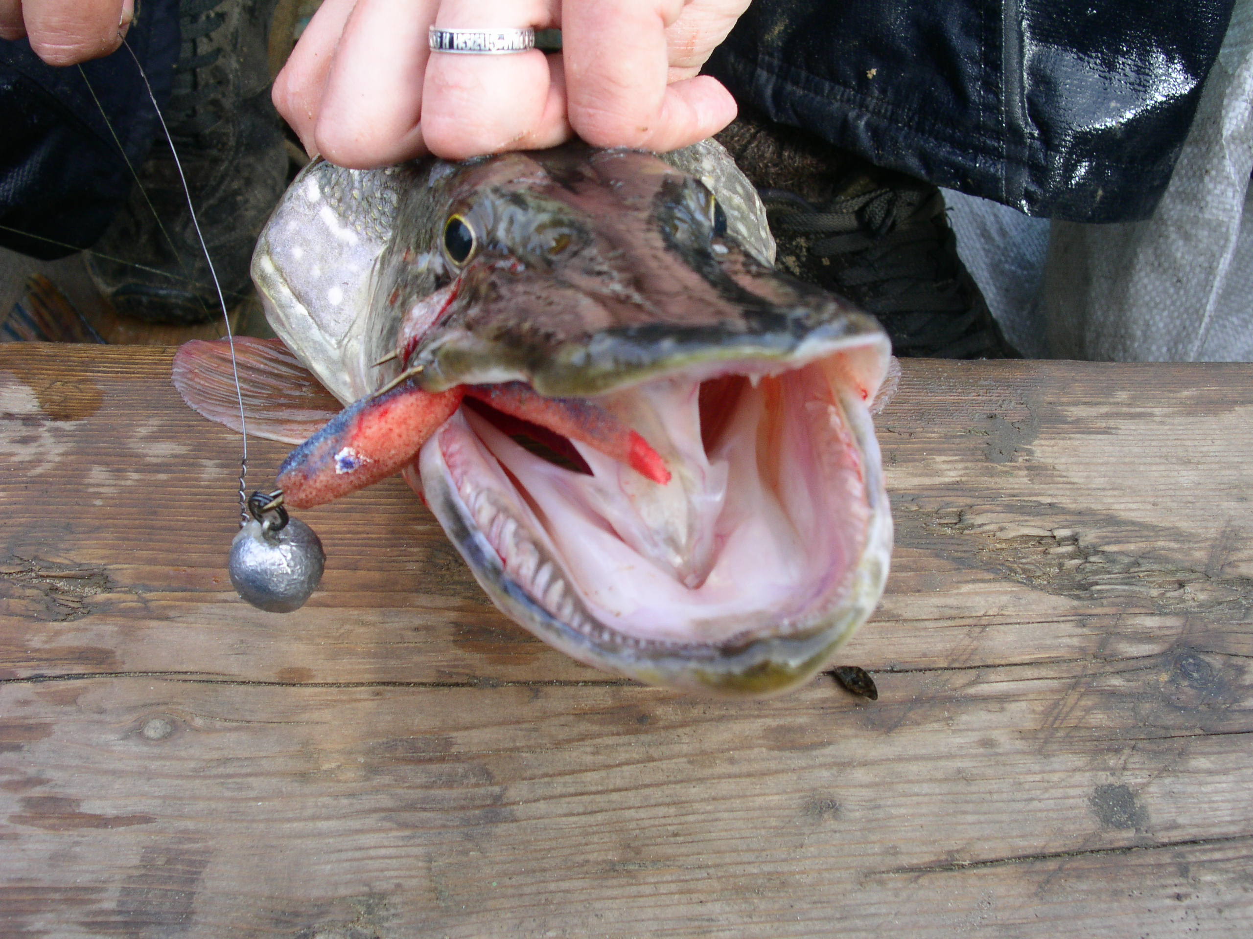 Заезд с 6 по 13 октября