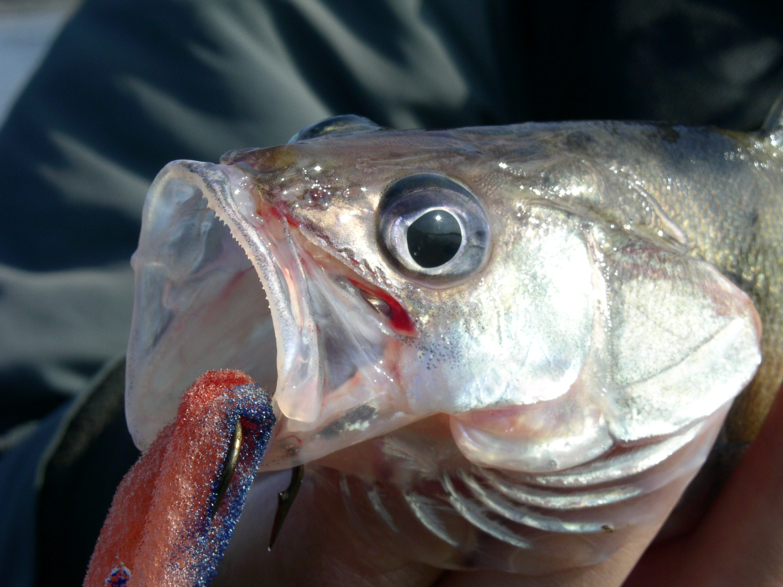 Заезд с 6 по 13 октября