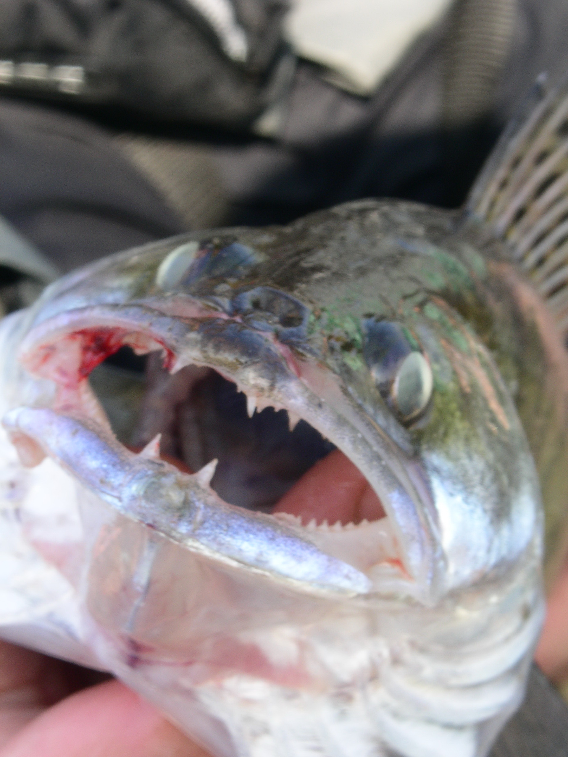 Заезд с 6 по 13 октября