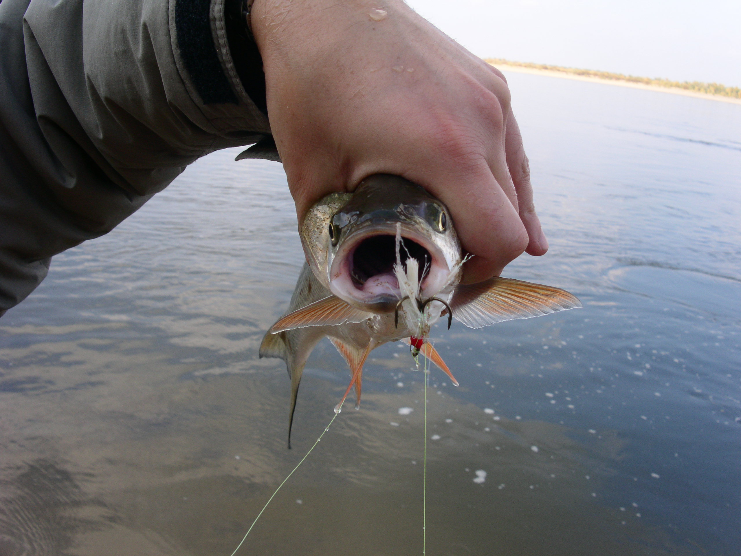 Заезд с 6 по 13 октября