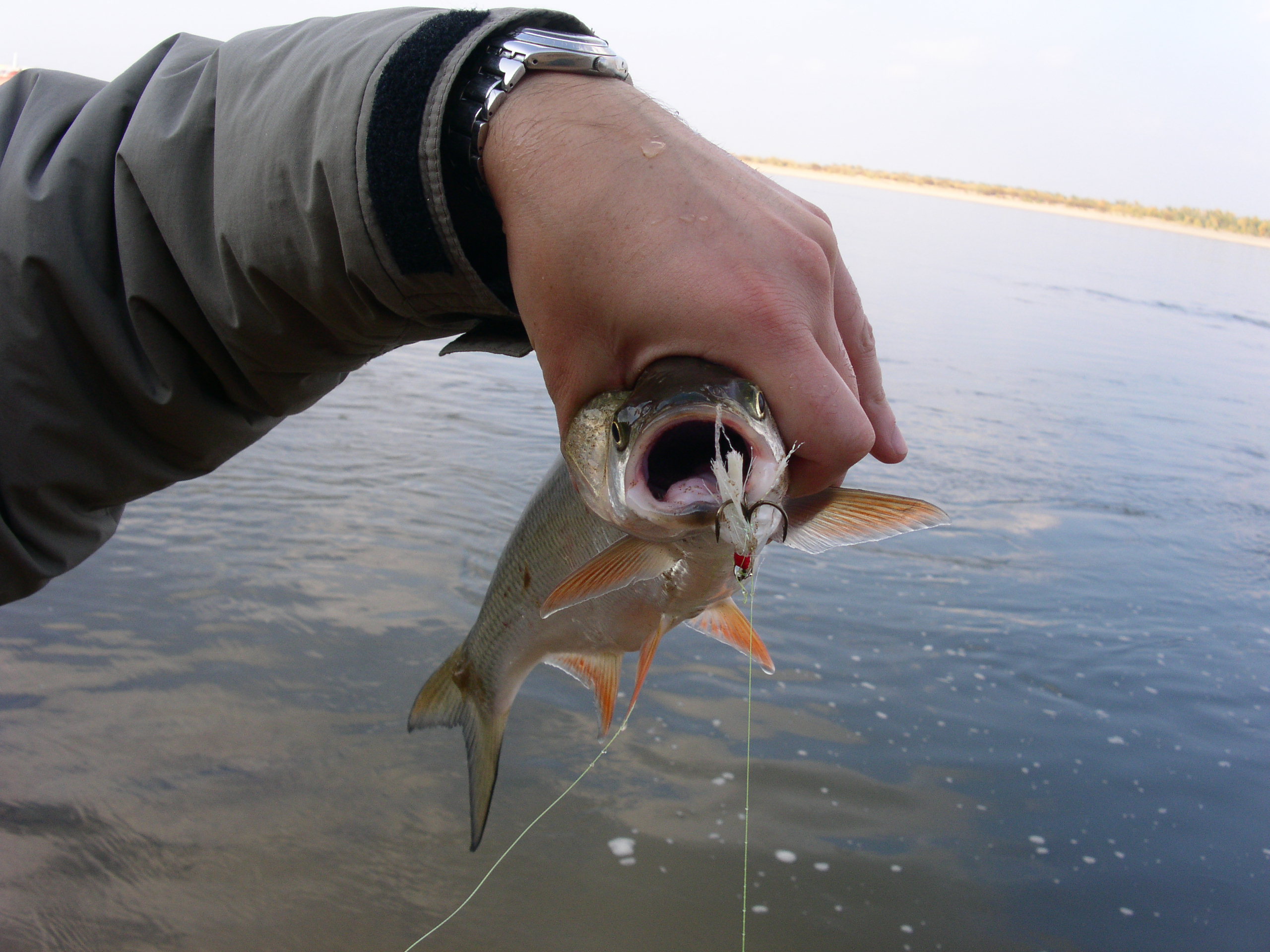 Заезд с 6 по 13 октября