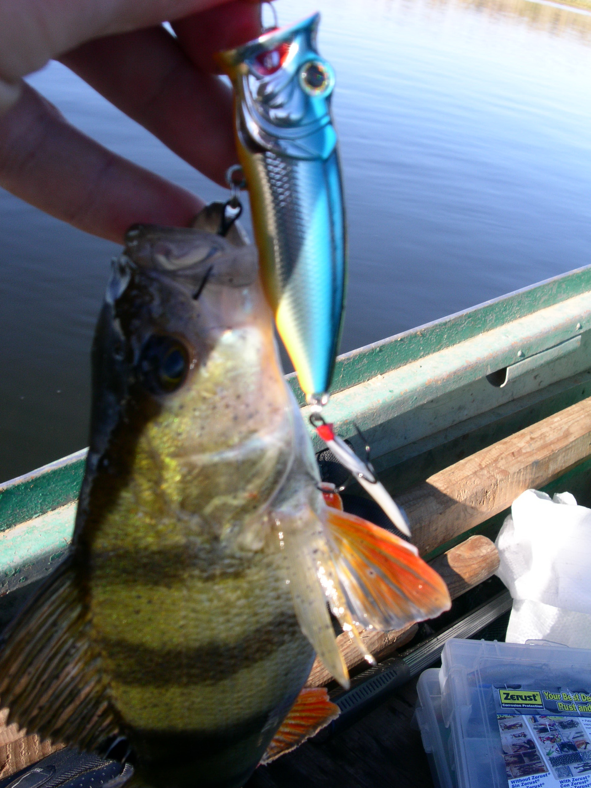 Заезд с 6 по 13 октября