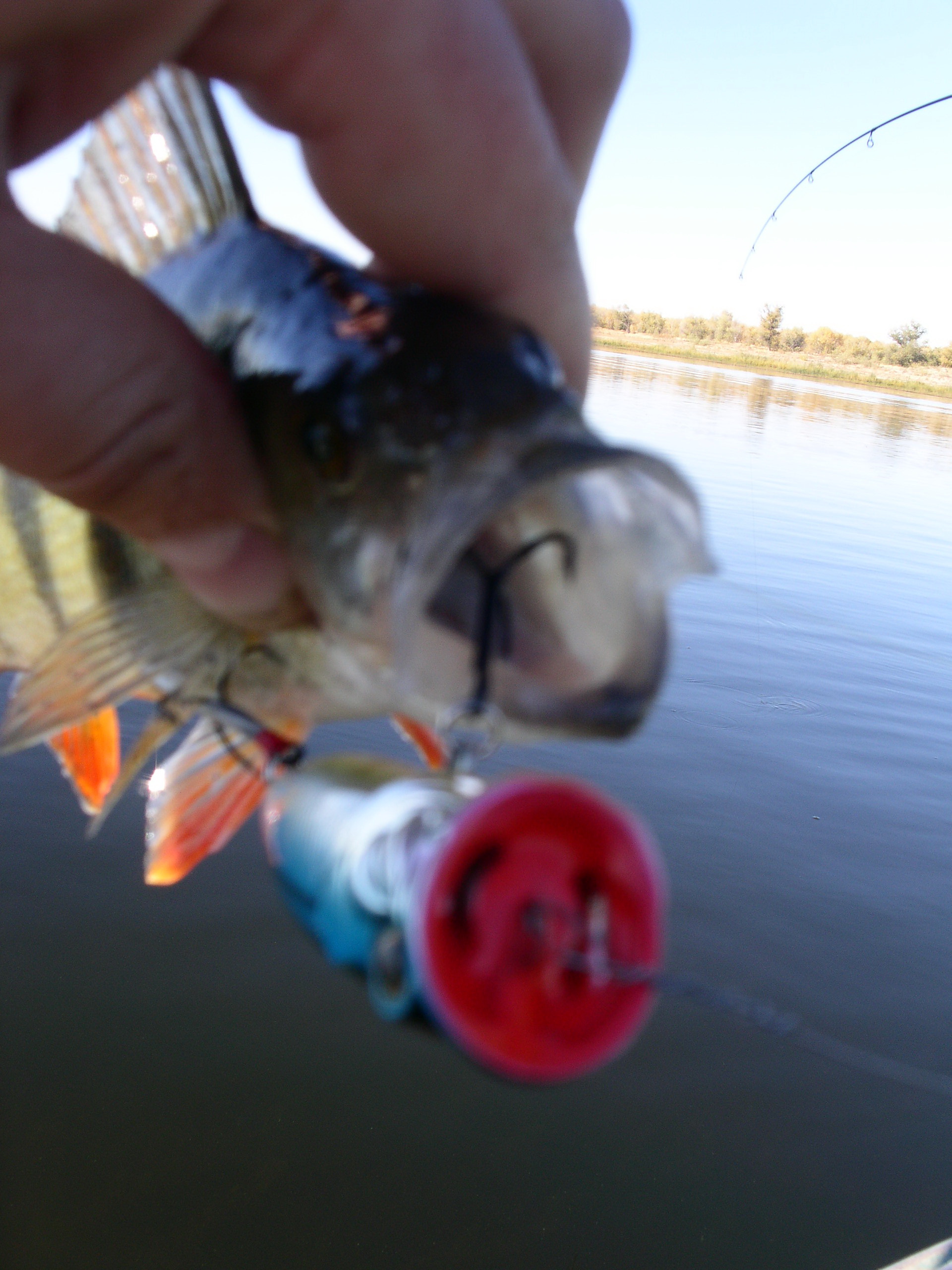 Заезд с 6 по 13 октября