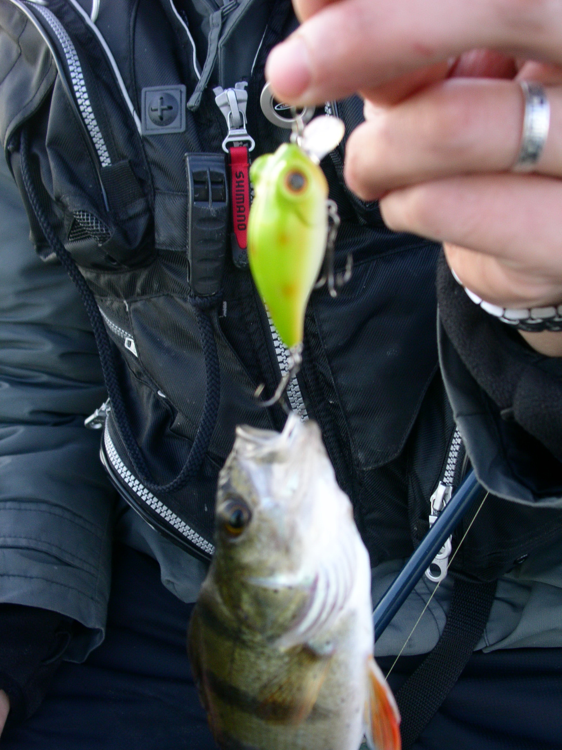 Заезд с 6 по 13 октября