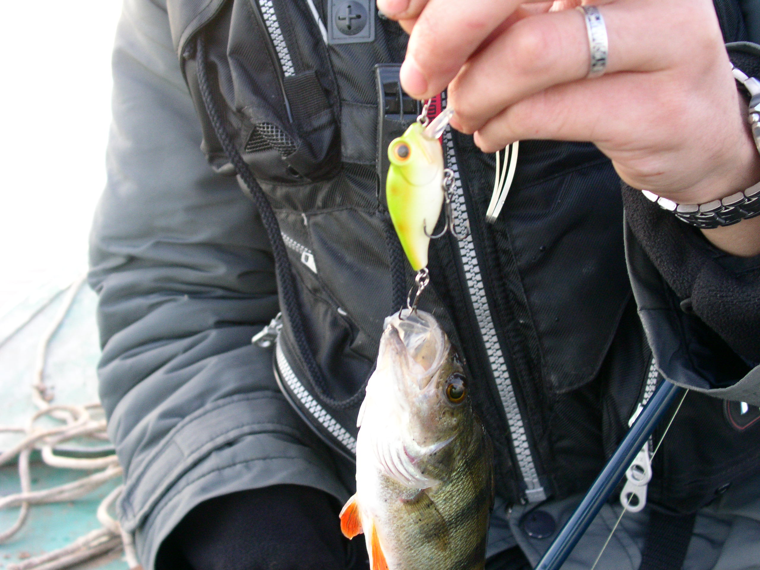 Заезд с 6 по 13 октября