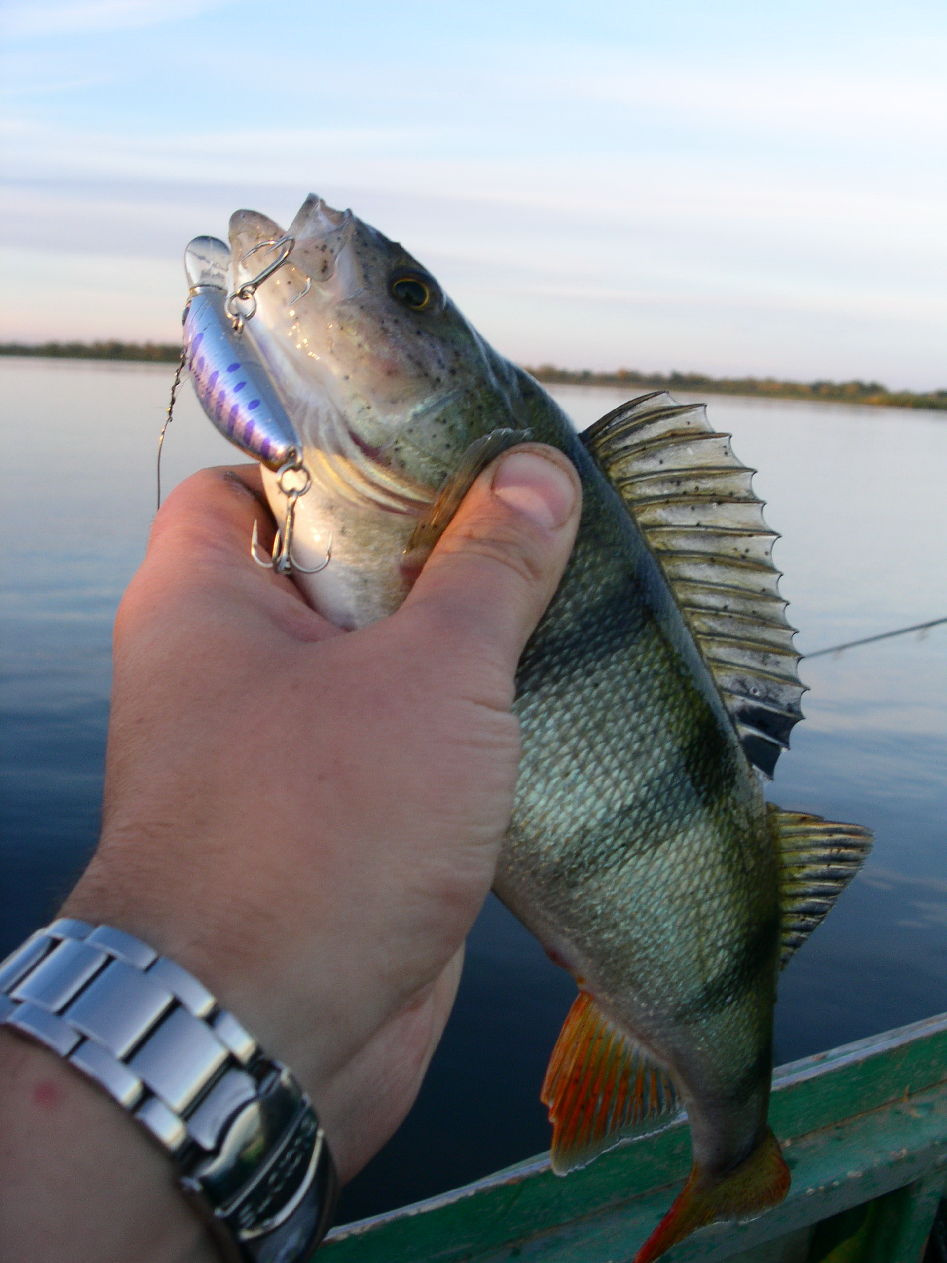 Заезд с 6 по 13 октября