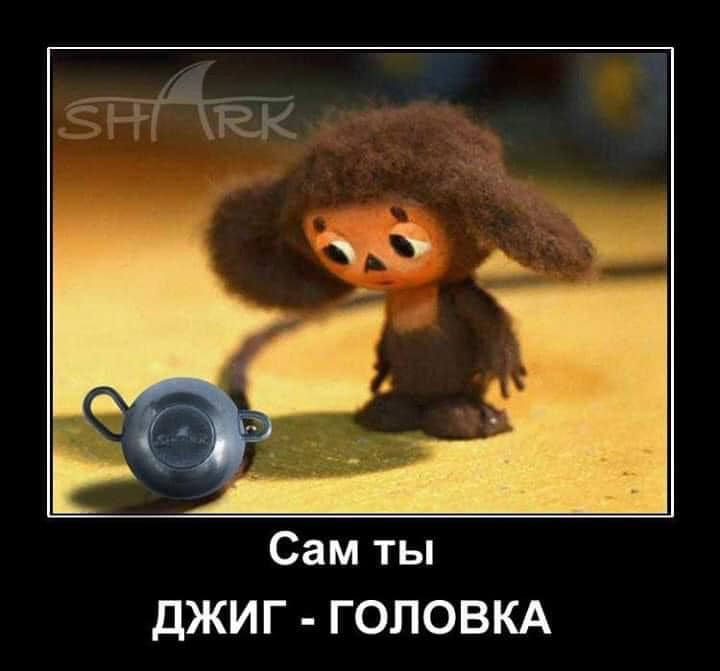 99108816_2943925532391753_2727588332161728512_n.jpg