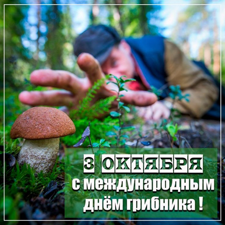 cd09d9557c7f74154774521cd64c923f.jpg
