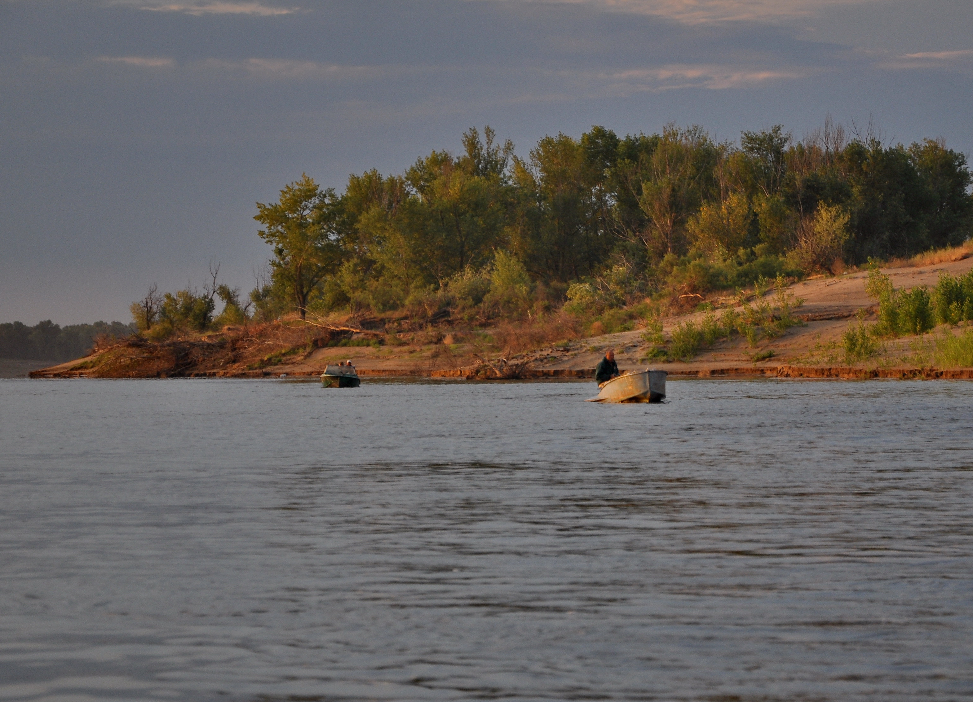 DSC_0174ммм.jpg