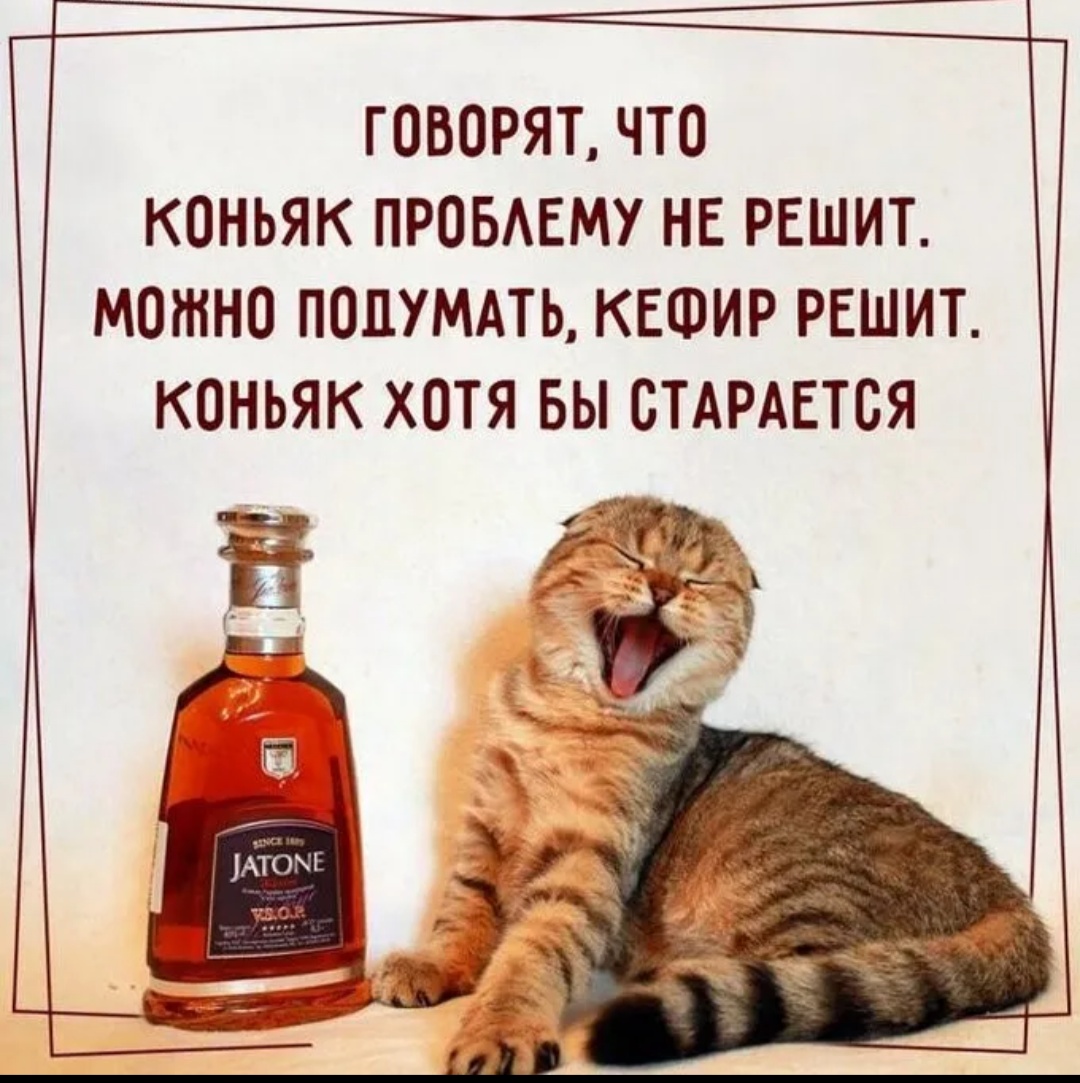 IMG-20211228-WA0000.jpg