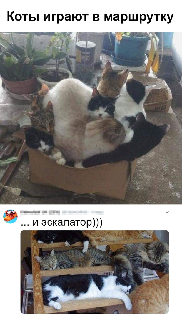 KBsNy0ujGZ4.jpg